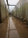 Tideflex Channel Aeration at Mid-Halton WWTP